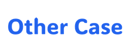 Other Case
